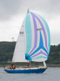 scintilla of the sea 920y whyw16 wed 800 3025w